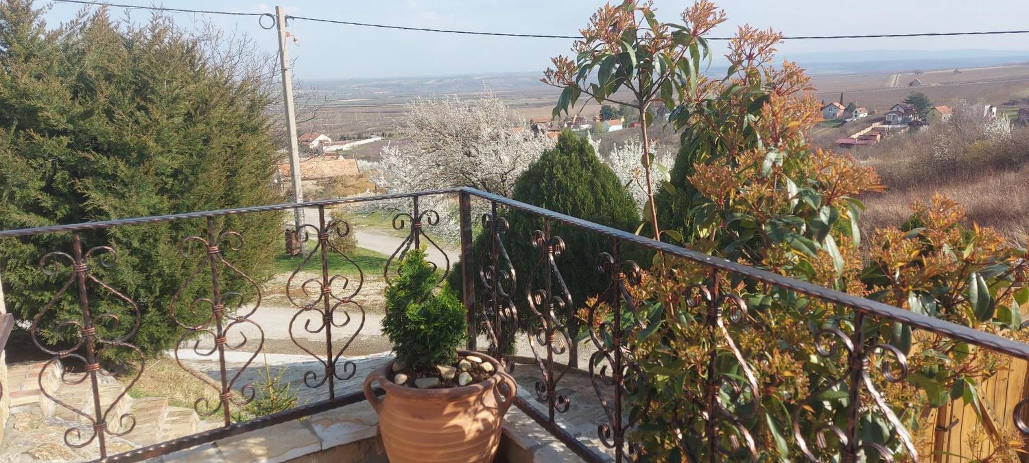 Etno Vila Kula Malo Srediste Экстерьер фото